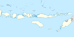 Denpasar is located in Lesser Sunda Islands