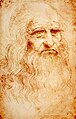 Leonardo da Vinci. Self portrait in the public domain