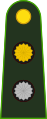 Teniente primero (Argentine Army)[7]