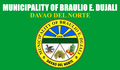 Flag of Braulio E. Dujali