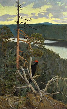 Black Woodpecker, 1894[8][9] (fi)