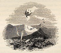 Tail-piece vignette showing "a mode of shooting an Eagle from a pit"