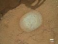 "Wernecke" rock on Mars – cleaned with Curiosity's "Dust Removal Tool" (DRT) (January 26, 2013).[14]