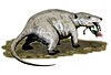 A life restoration of a Repenomamus feeding on a dinosaur hatchling