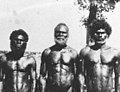 Image 30Men from Bathurst Island, 1939 (from Aboriginal Australians)