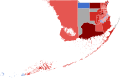 2022 Florida's 28th Congressional District election by precinct