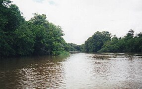 The Guaratico River near Mantecal, Venezuela