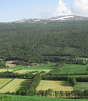 Windbreaks in Lesja, Norway, also used to collect snow in a dry area.
