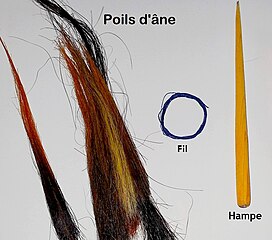 Donkey hair, wire and shaft for traditional brush making