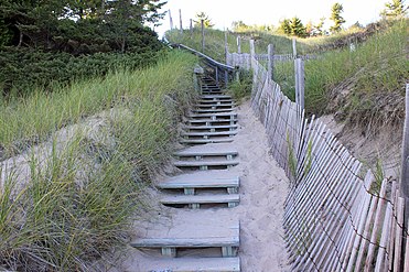 Steps up a dune