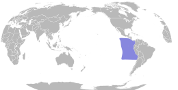 Map of the world showing distribution of this bird in blue