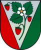 Coat of arms of Sala Municipality
