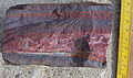 Image 46A banded iron formation from the 3.15 Ga Moodies Group, Barberton Greenstone Belt, South Africa. Red layers represent the times when oxygen was available; gray layers were formed in anoxic circumstances. (from History of Earth)