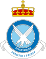Air Force Flight School