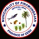 Official seal of Pinamungajan