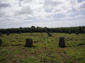 Image 8Boscawen-Un stone circle looking north (from History of Cornwall)