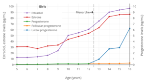 Estrogen and progesterone levels during childhood and adolescence, including puberty, in girls.[26][27][28] The dashed vertical line is the average age of menarche (first menstruation and onset of menstrual cycles).