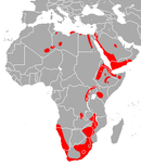 Throughout Africa, extending into the Arabian Peninsula