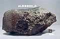 Meteorite fragment ALH84001