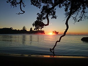 Sunrise at Waiake Beach
