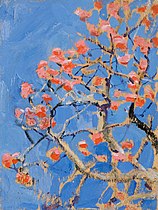 Coral Tree in Blossom, 1910