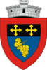 Coat of arms of Udești