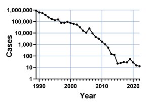 A graph shows the precipitous drop in Guinea worm cases over time.