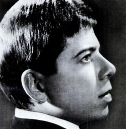 Bobby Goldsboro in 1967 (age 26).