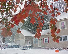 Snow falls in the backyard of a light brown house and garage. In the upper foreground are branches with leaves, mostly red but with some remaining green. A rubber inflatable jack o' lantern is in the lower right corner.