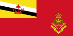 Army ensign.