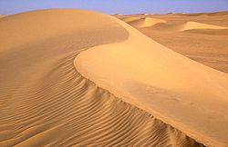 Landscape of dunes in the Erg of Bilma.