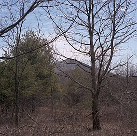 Mount Pleasant, Virginia