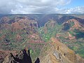 Image 9Waimea Canyon, Hawaii, is known for its montane vegetation. (from Montane ecosystems)