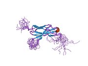 1uen: Solution Structure of The Third Fibronectin III Domain of Human KIAA0343 Protein