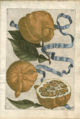 Aurantium corniculatum from Hesperides (1646)