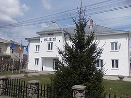 Dolhasca Town Hall