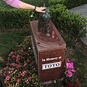 Toto's memorial at Hollywood Forever Cemetery