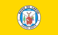 Flag of Carasi
