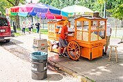 Gus and Yiayia's is a historic shaved ice stand in Pittsburgh's Allegheny Commons Park.[7]