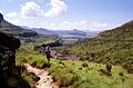 Trail in Royal Natal National Park