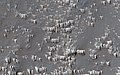 Dust deposits-transverse aeolian ridges (TARs)-Syria Planum.