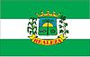 Flag of Realeza