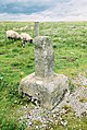 Image 6The Rere or Rey Cross on Stainmore (from History of Cumbria)