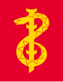 Army Medical Services