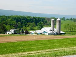 Farm on Farmhaus Lane