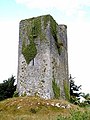 Image 39A tower house near Quin, County Clare. The Normans consolidated their presence in Ireland by building hundreds of castles and towers such as this. (from History of Ireland)