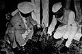 Nehru planting a tree at the Purana Qila on 20 July 1947