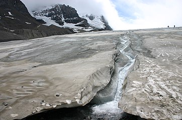 Sunwapta River originates at the toe of the Athabasca Glacier