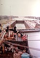 Sagebrush in the Panama Canal, 1984