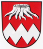 Coat of arms of Bevenrode